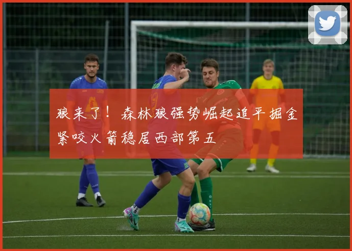 狼来了！森林狼强势崛起追平掘金紧咬火箭稳居西部第五