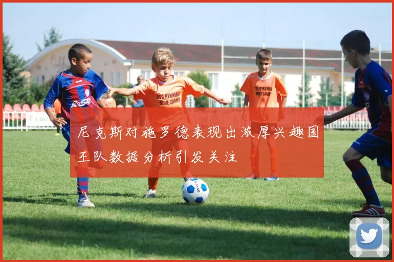 尼克斯对施罗德表现出浓厚兴趣国王队数据分析引发关注